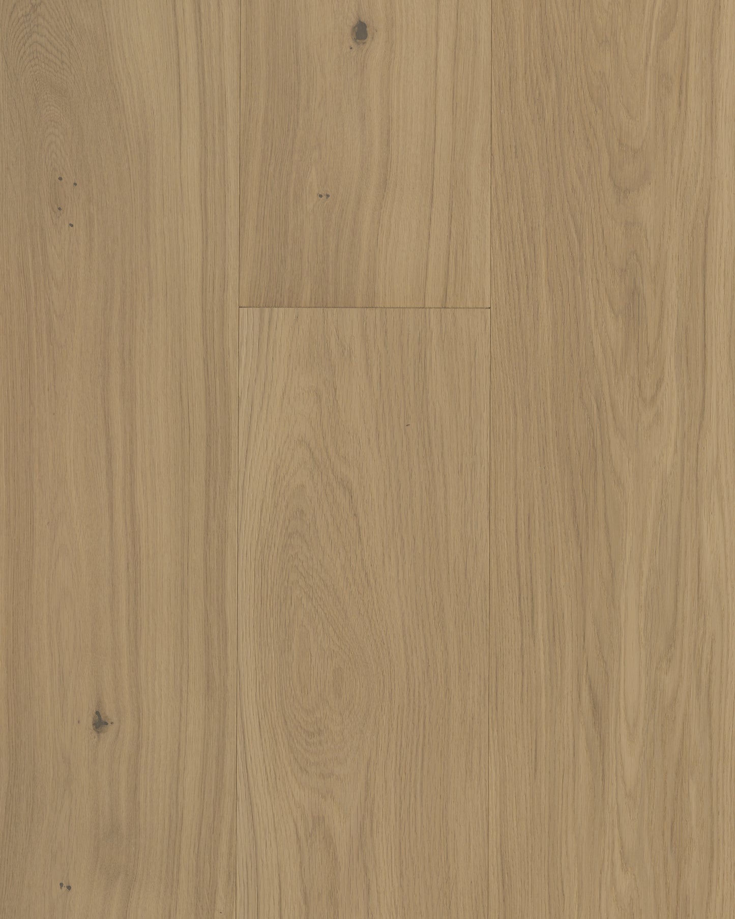 Moda Altro Capri Light Feature Plank - Batch 2364